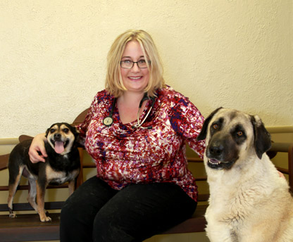 norman, ok veterinary hospital