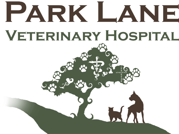 norman veterinary hospital